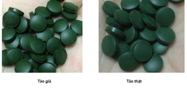 Hình ảnh viên tảo xoắn Spirulina thật và giả